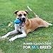 EASTBLUE Squeaky Dog Toys for Aggressive Chewers: Rubber Puppy Chew Ball with Squeaker, Almost...