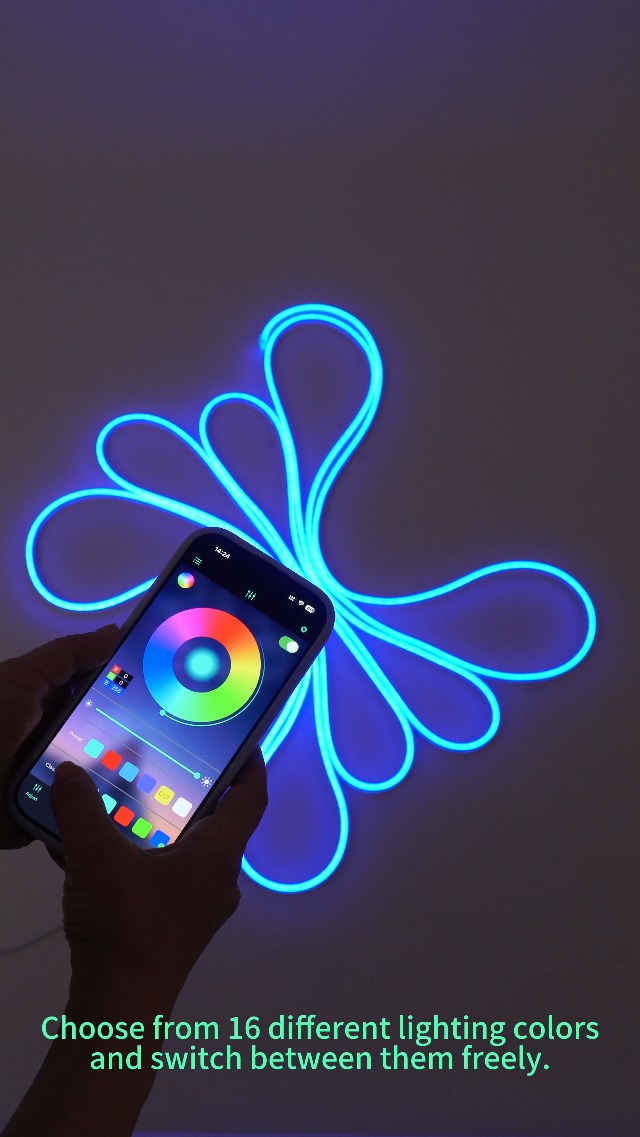 Maxlaxer 16.4ft LED Neon Rope Lights, 12V RGB Color Changing Strip