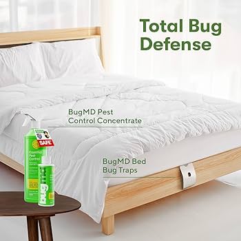 Bed Bug Services