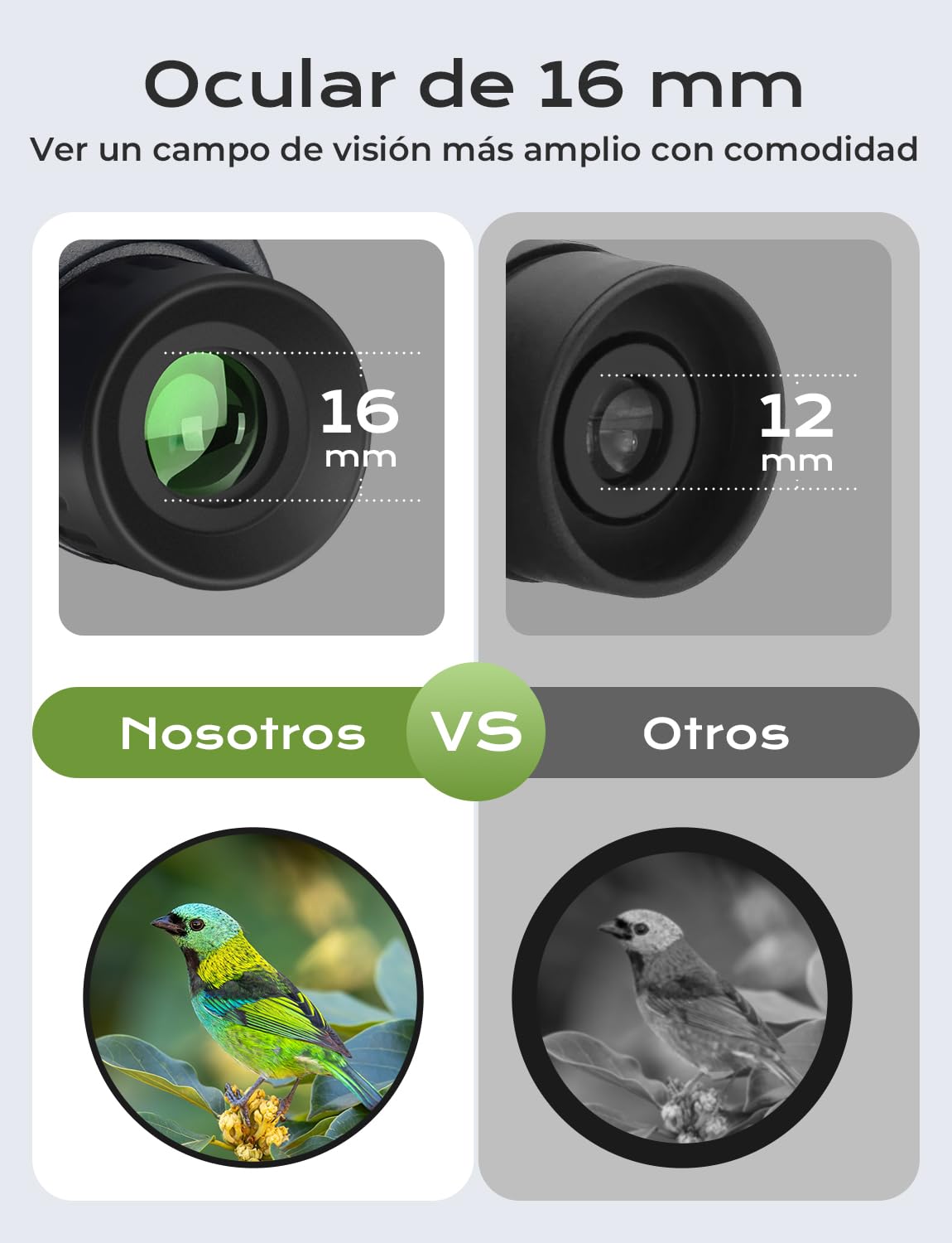 Liorque 10×25 Prismáticos Niños y Adultos | Binoculares Compactos Plegables | Adecuado para Visión Nocturna y Baja Luz | Ideal para Observación de Aves, Senderismo, Viajes y Caza