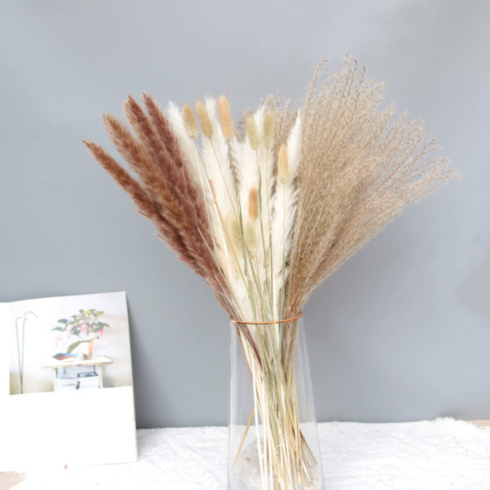 Decoración de Hierba de Pampa Natural de 80 Tallos – Colas de Conejo secas, Hierba de caña Beige para decoración del hogar, arreglos Florales, decoración Bohemia, 20 Pulgadas de Alto