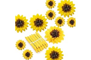 Paper Sunflowers: Vibrant Tissue Flowers for Birthdays, Mother's Day, and Weddings