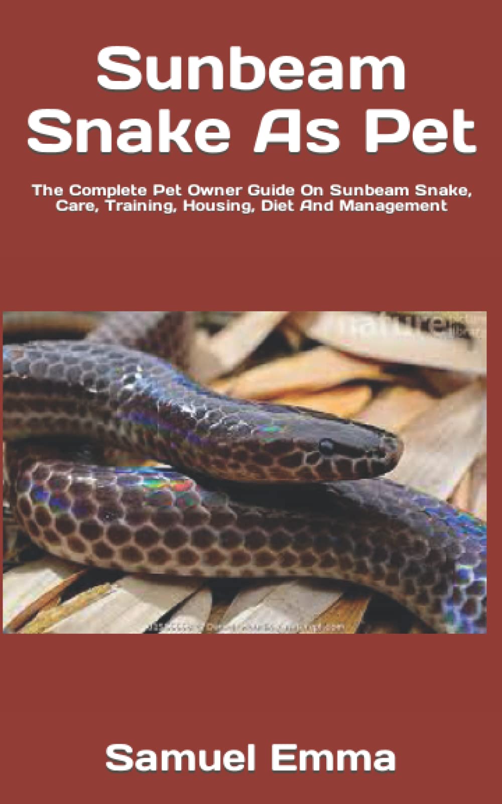 View of Buy Sunbeam Snake As Pet: The Complete Pet Owner Guide On Sunbeam Snake ...