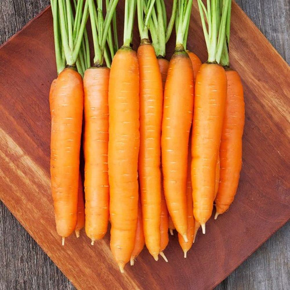 Live Green Vegetable Seeds | Carrot Orange F1 Hybrid | Gazar Seeds | Vegetable Seeds For Gardening (B098TSVKGS) Amazon Price History, Amazon Price Tracker