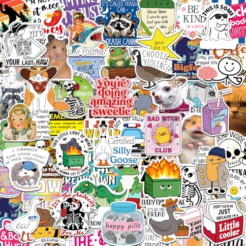 RoundFunny 150 calcomanías divertidas de memes para adultos, calcomanías divertidas para botella de agua, calcomanías para laptop, calcomanías geniales impermeables, calcomanías sarcásticas,
