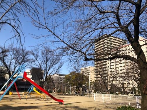 2024/03/01 奈良・東京・岐阜・大阪 #佐野真弓の予定 from Radiotalk Podcast Por  arte de portada