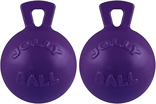 Jolly Pets 2 Pack of Tug-n-Toss Heavy Duty Chew Ball with Handle, Purple, 6-Inch