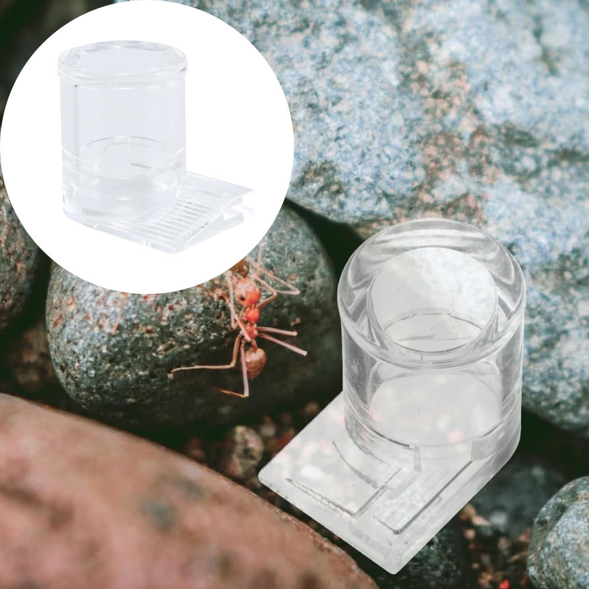 Comedero De Agua Para Hormigas, Contenedor De Agua Acrílico Transparente Para Nido De Hormigas, Hábitat Para Mascotas.
