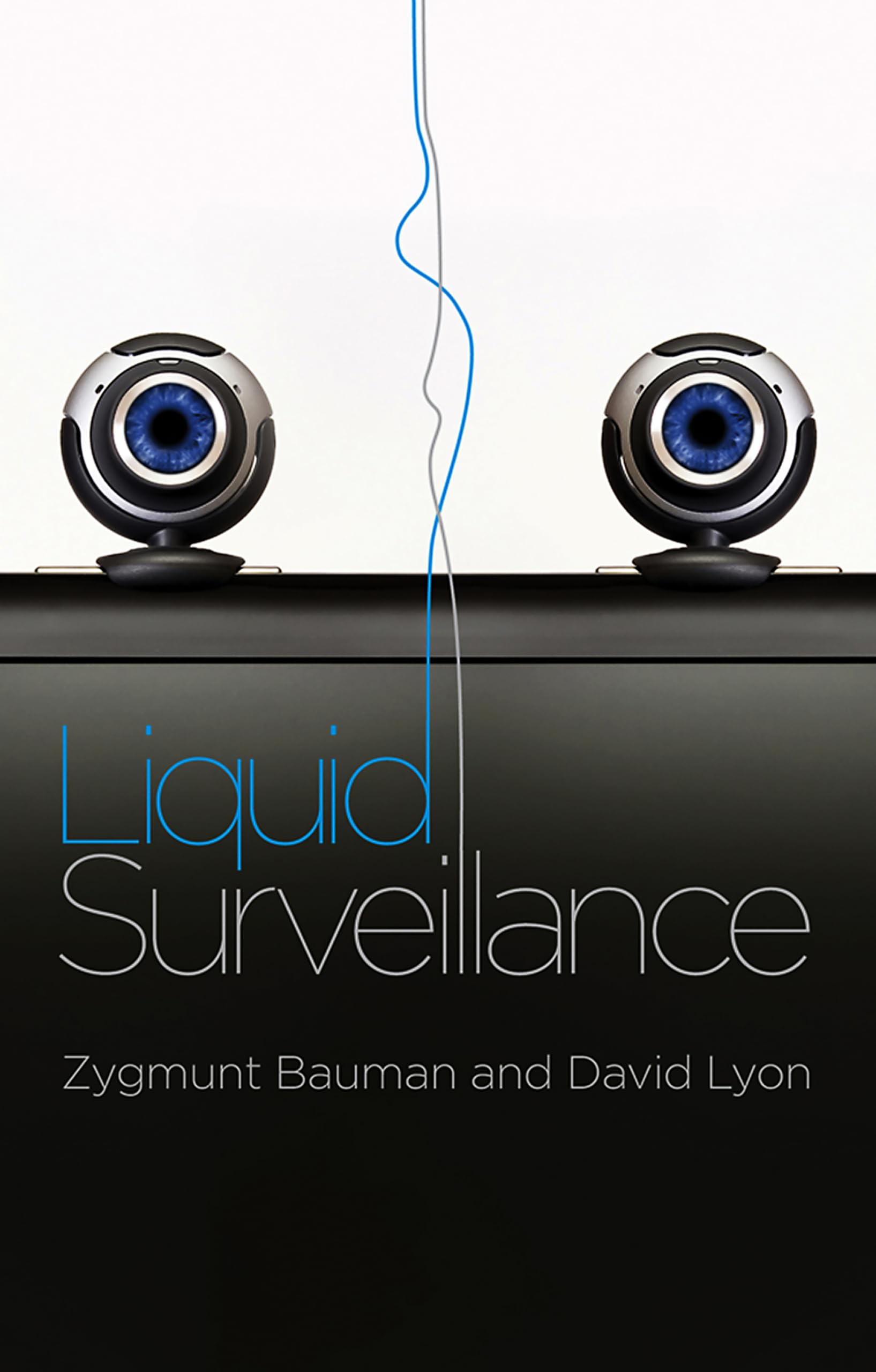 Liquid Surveillance: A Conversation
