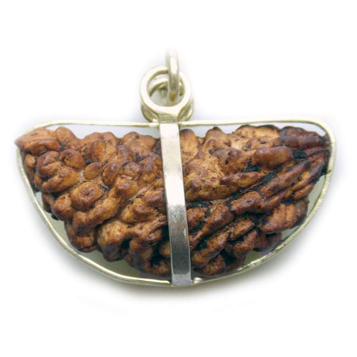 55 Karat® Rudraksha-Anhänger, versilbert, ursprünglich im Labor Zertifiziert, 1 2 3 4 5 6 7 8 9 10 11 12 13, nepalesischer Gauri Shankar Ganesh Mukhi Rudraksha-Anhänger, Schmuck für Männer und Frauen