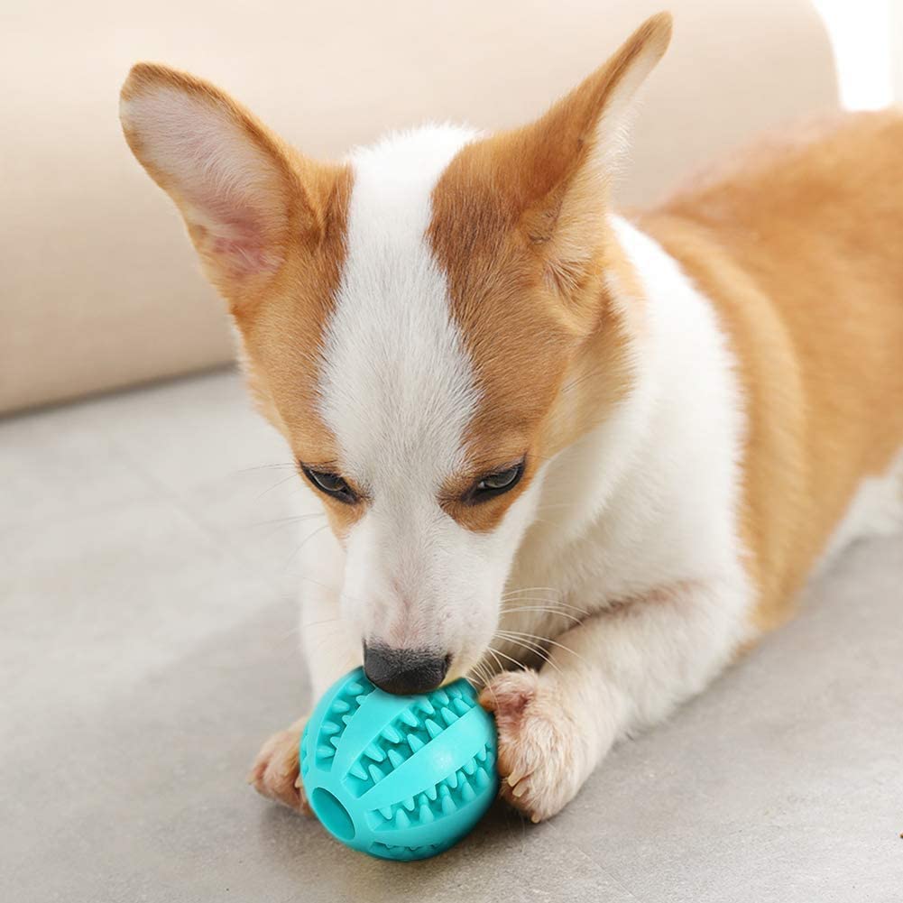 DEWEL 2 Hondenspeelbal, kauwbal voor honden, snoepjesdispenser voor