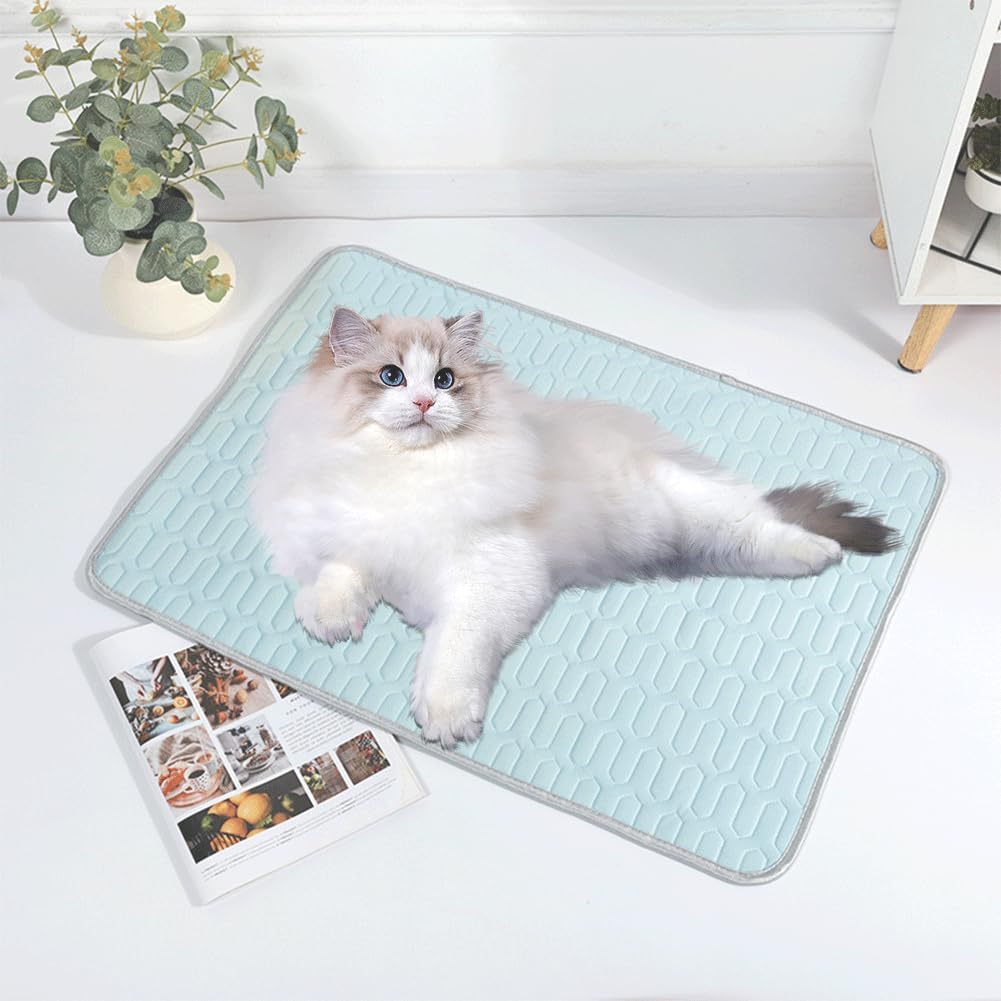 Beat the Heat: Review of the Rstigiker Dog Cooling Mat for Ultimate Pet Comfort!