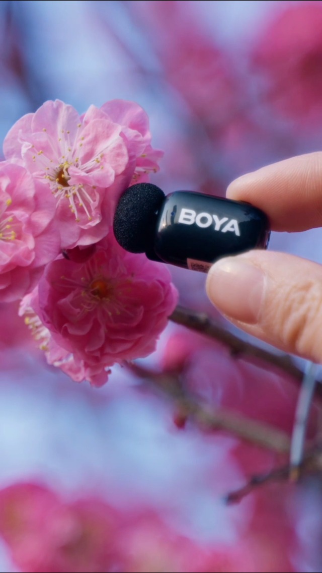 【人気商品】BOYA miniワイヤレスマイク【超ミニ360°集音ピンマイク】タ Amazon.co.jp: BOYA miniワイヤレスマイク【超ミニ360°集音ピンマイク