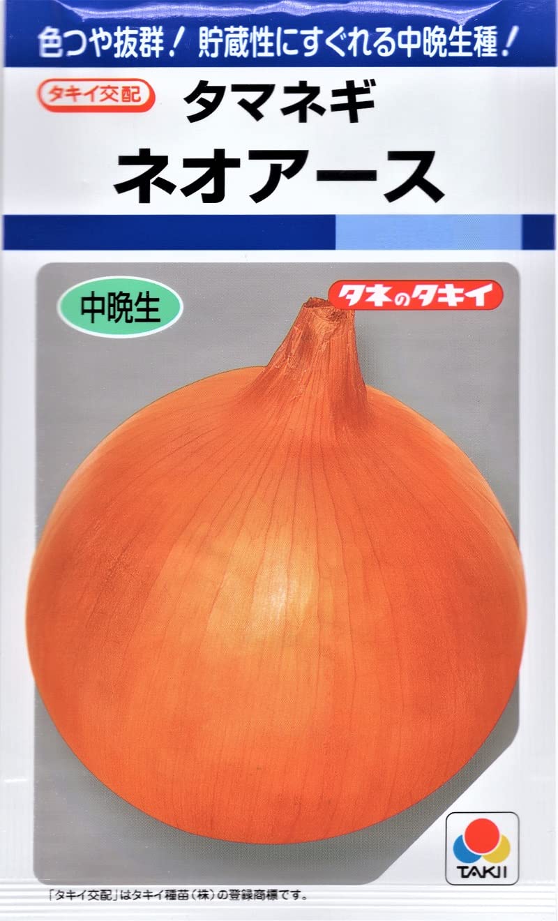 日本画(19)　玉ねぎ2 楽天市場】タマネギ【 ネオアース 】種子 2.2ml～2dl／中晩生