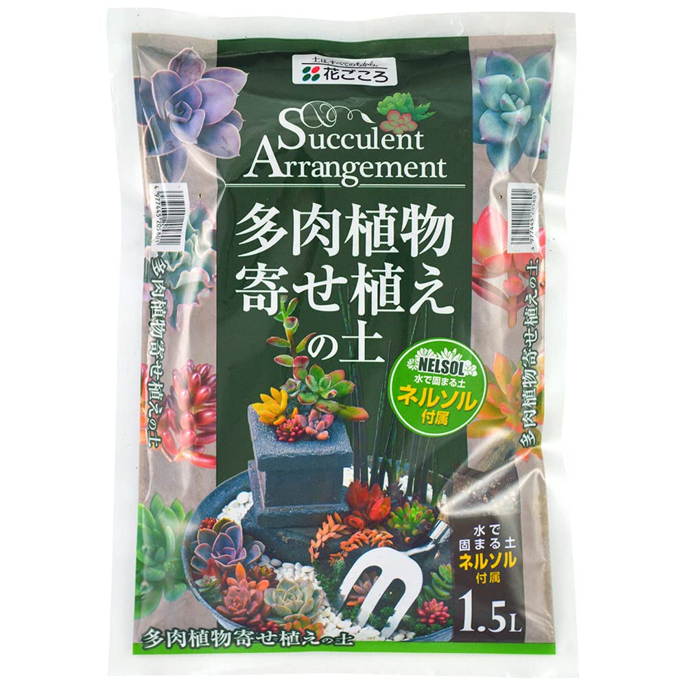 Amazon | 花ごころ 多肉植物寄せ植えの土 水で固まる土「ネルソル