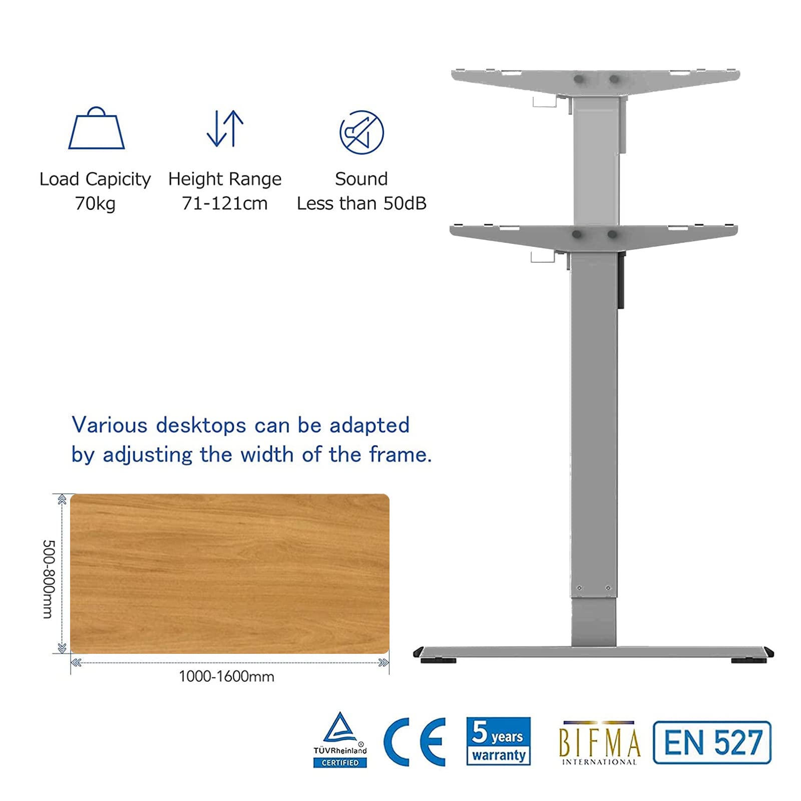 FLEXISPOT EG1-SET 160 x 80 cm Scrivania Regolabile in Altezza Standing Desk Scrivania Elettrica Scrivania Motorizzata Telaio in Acciaio Solido a 2 stadi Per Lavorare da Casa(Grigio+Acero)