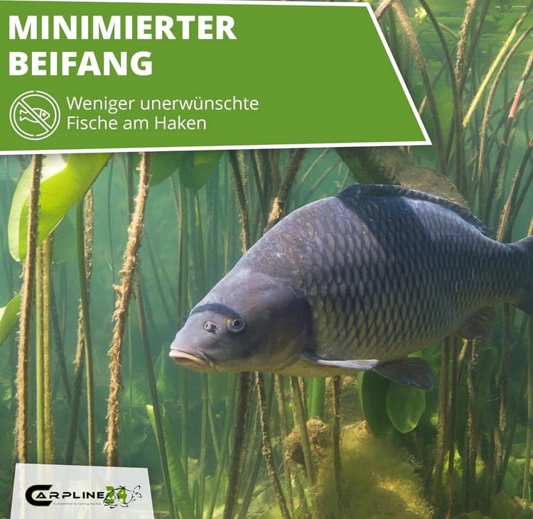 Black Tigers Tigernüsse Mix - 10 Kg - 8 bis 22 mm, Tigernuss Angelköder für Karpfen, zum Anfüttern & Angeln, Grundfutter, Carp Baits, Fischfutter & Karpfenköder, geringer Beifang