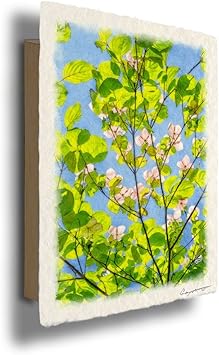 Amazon Co Jp 絵画 和紙 アートパネル モダン 油絵 青空とヤマボウシの白い花と若葉 36x24cm 風水 絵 玄関 インテリア おしゃれ 風景画 金運 ポスター 壁掛け グッズ 春 花 木 緑 ホーム キッチン
