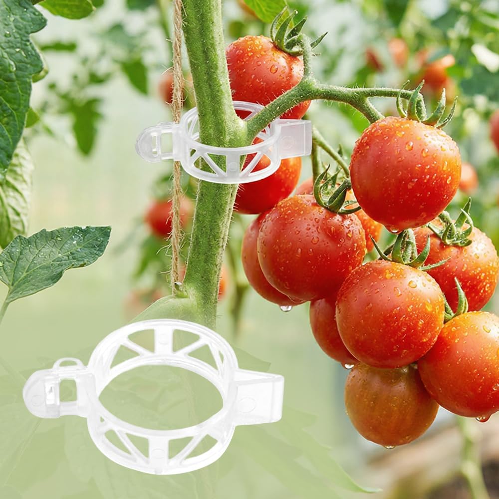300Pcs Tomato Clips, 2026 New Plant Clips for Climbing Plants, Plant Support Clips, Grape Vine Tomato Vine Vegetables Plants Garden Support Clips to Grow Upright (300)