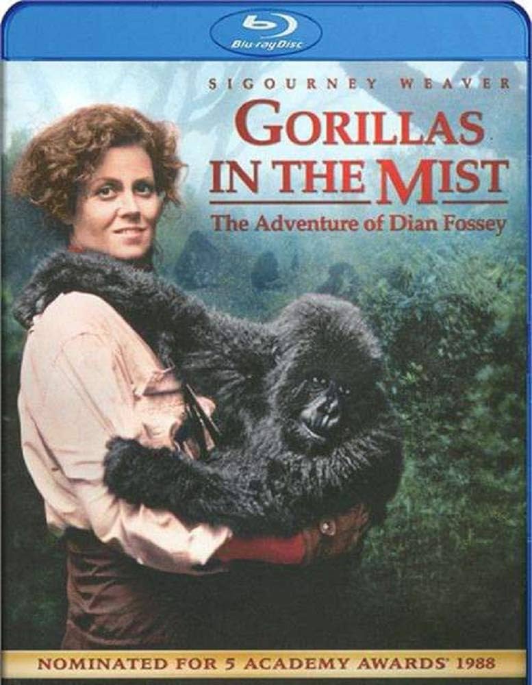 その他 Mountain Gorillas [Blu-ray] Amazon.co.jp | Gorillas in the Mist [Blu-ray] [Import] DVD
