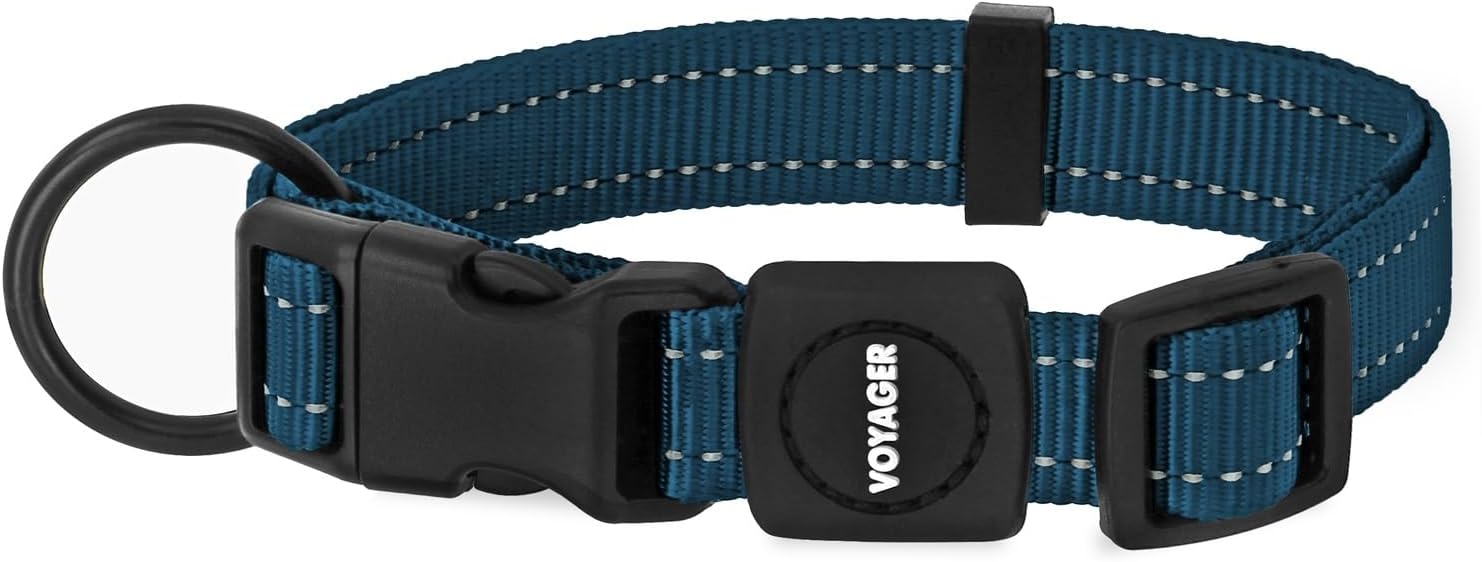 Best Pet Supplies Voyager Reflective Dog Leash or Collar with Neoprene Handle, for Small, Medium, and Large Breed Puppies, Cute and Heavy Duty for Walking, Running and Training - Blue, M