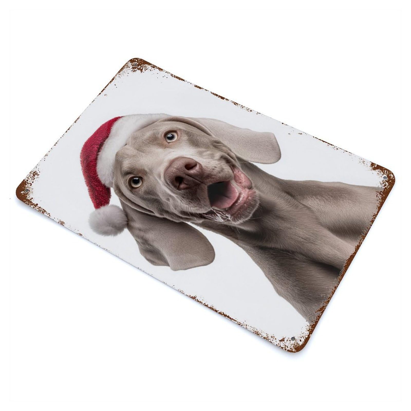 Weimaraner Dog with Santa Hat Portrait Rusty Metal Tin Sign 11.8"x7.9", Ideal for Farmhouse, Kitchen And Entryway Decor