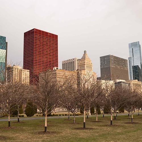 Miniatura 85 de Adventure Box - "Spy", Downtown Minneapolis, Minneapolis - Caza misteriosa para múltiples jugadores de Escape Room - Juego de rompecabezas