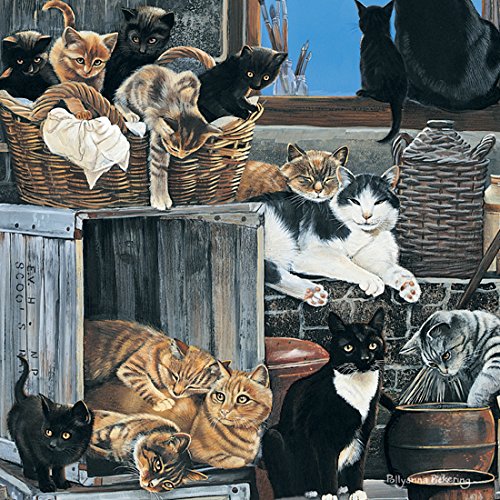Mixed Cats "A Company of Cats" Blank Greetings Card