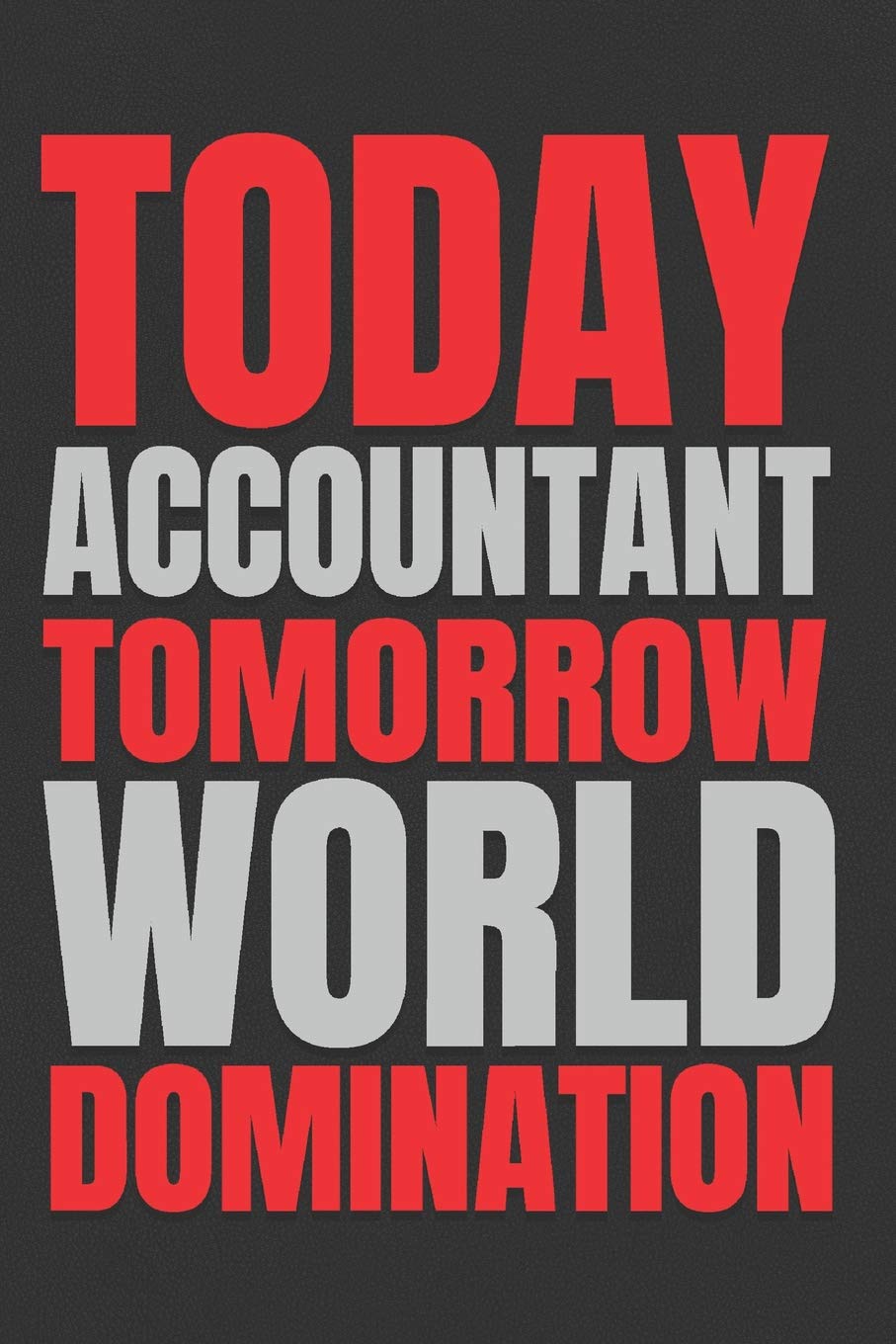 Today Accountant - Tomorrow World Domination: 6x9 Medium Ruled 120 Pages Notebook Journal