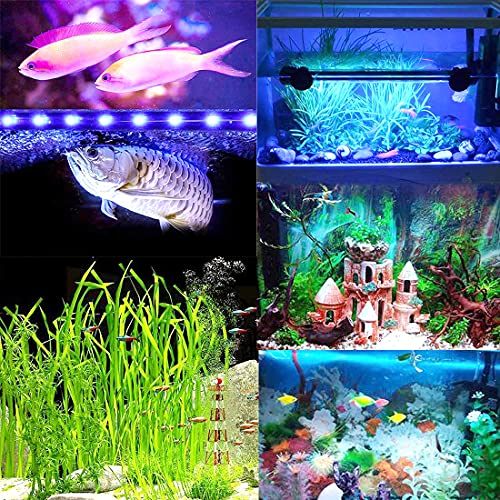 Image of VENUS AQUA T4-30F 3 Watt Fully Submersible LED Aquarium Light - Blue + White Lamp for Fish Tank, Glass Aquarium - 27 cm for 1.5 Ft -2 Ft Fish Tank