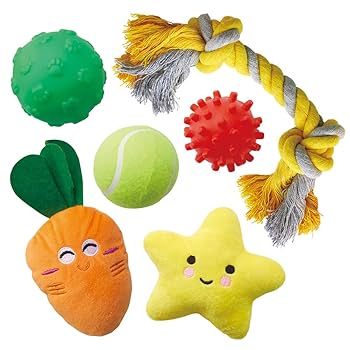 Amazon | マルカン 熱血遊び隊！ボールがコロコロバラエティー