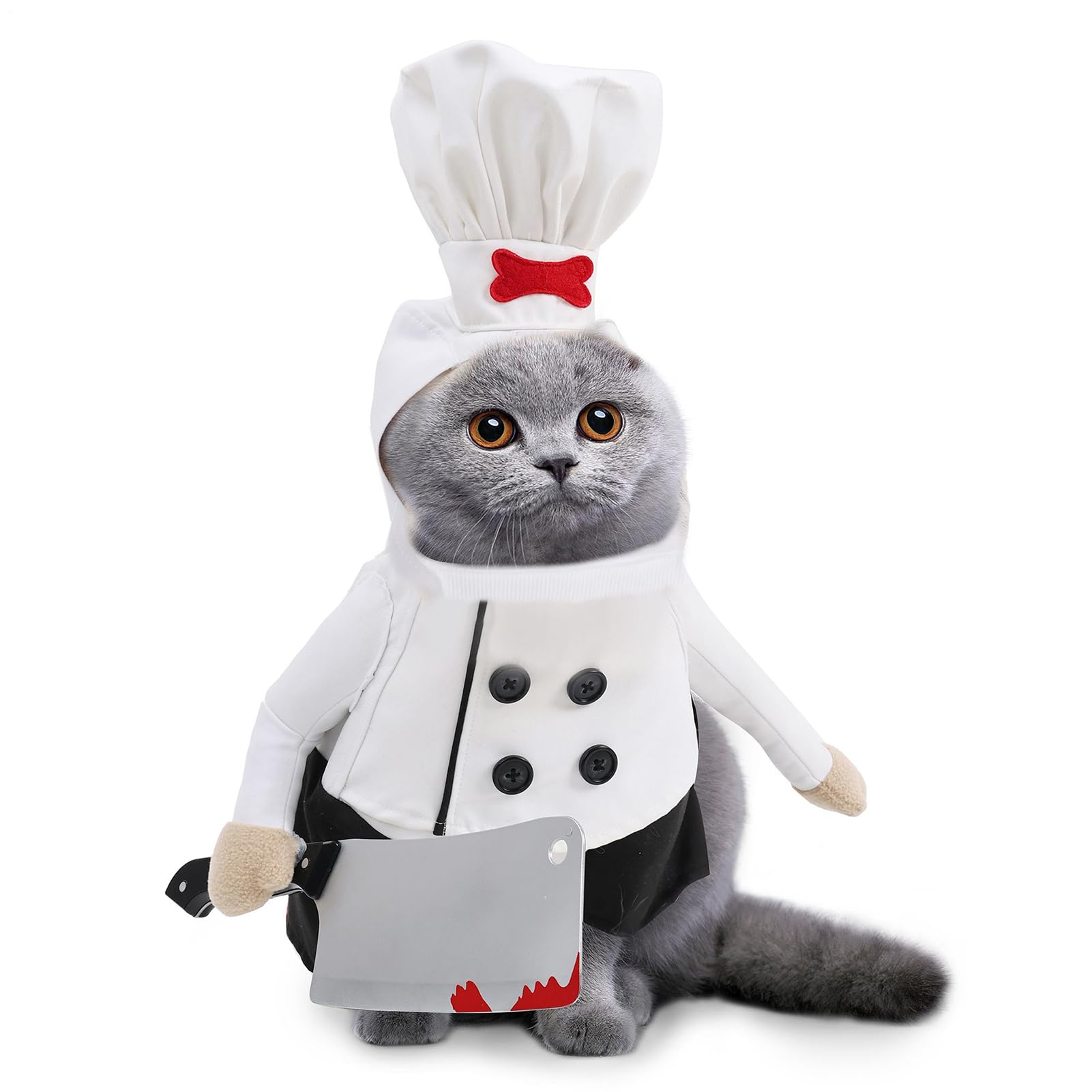 Tenues de chef d'Halloween pour chaton et chien lors de vos fêtes