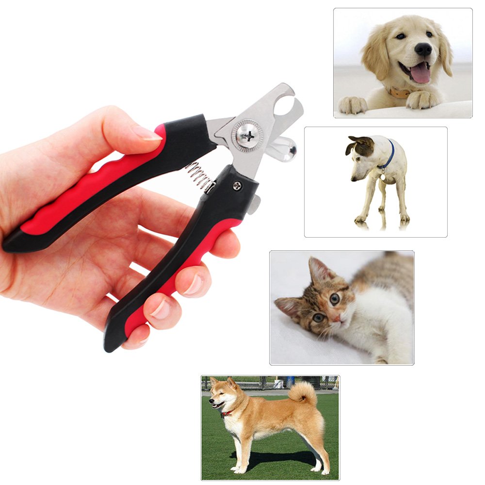 Hunde-Nagelknipser 767C – Scharfer Edelstahl-Trimmer Für Große & Kleine Hunde, Inkl. Feile