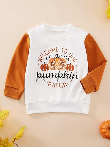 Vista 4 de ESHOO Mameluco de Halloween para bebés y niñas con cuello redondo, manga larga, sudadera de calabaza