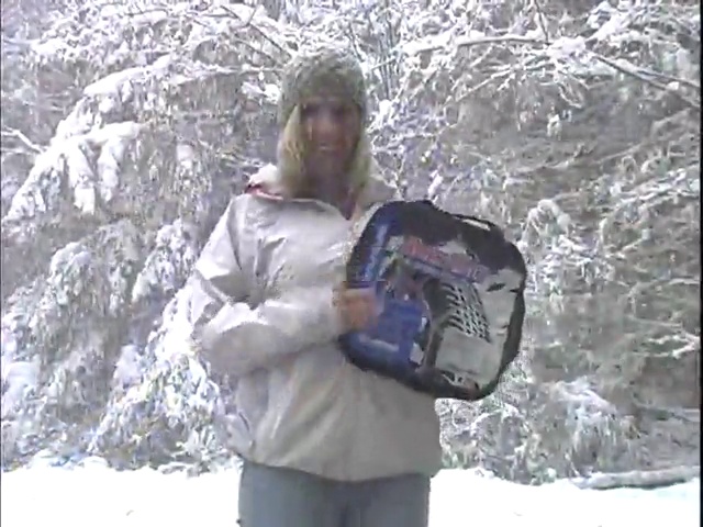 6 Peerless+0231705+Auto+Trac+Traction+Chain