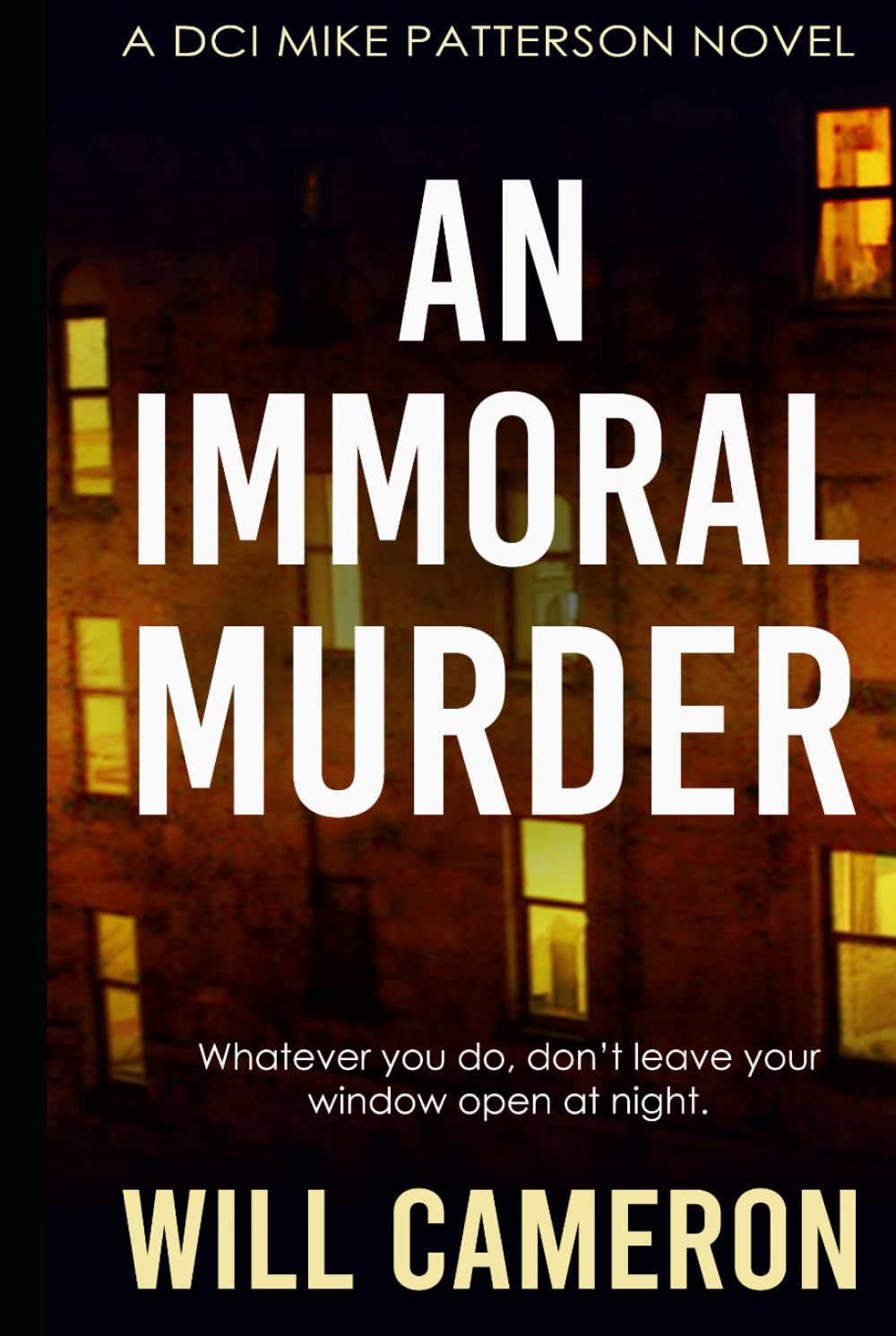An Immoral Murder: A DCI Mike Patterson Investigation Book 1