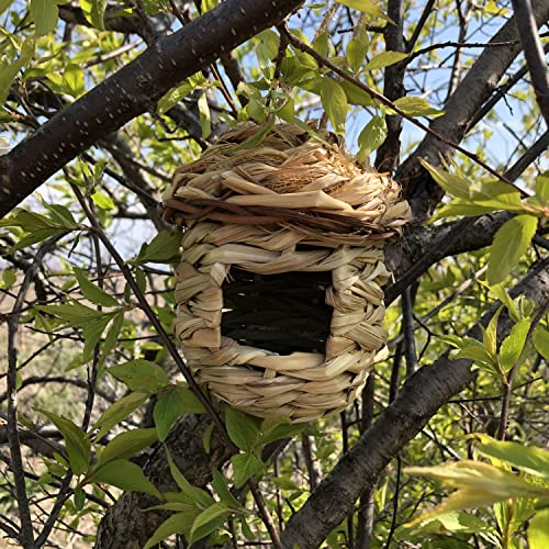 Songbird Essentials Hanging Grass Roosting Pockets And Houses - Round Hanging Grass Roosting Pocket #TOP5