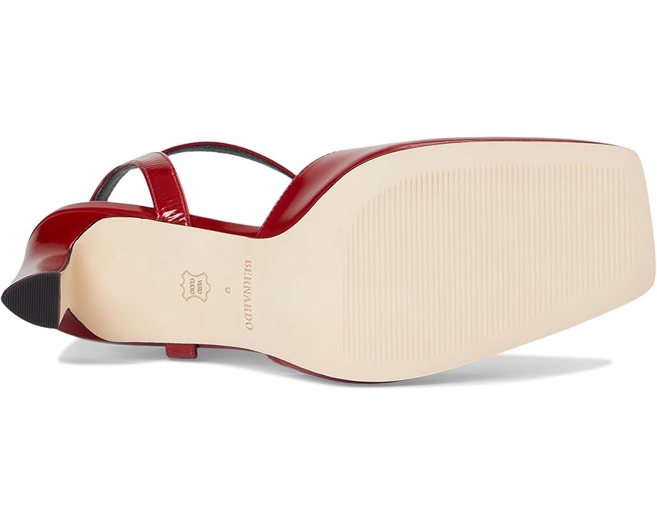 Bernardo Gama - Bottom View