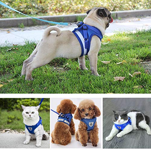Feimax Cat Harness And Leash Set No Pull Adjustable Pet Harnesses With Reflective Strips, Escape Proof Kitten Step-In Vest Fit Small Medium And Large Dogs Cats Rabbits #TOP7