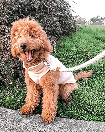 Image of Gooby Fleece Vest Dog Sweater, Peach, Medium | Soft warm fleece; Pullover, easy on /off (no zippers); O-ring leash attachment; Machine washable