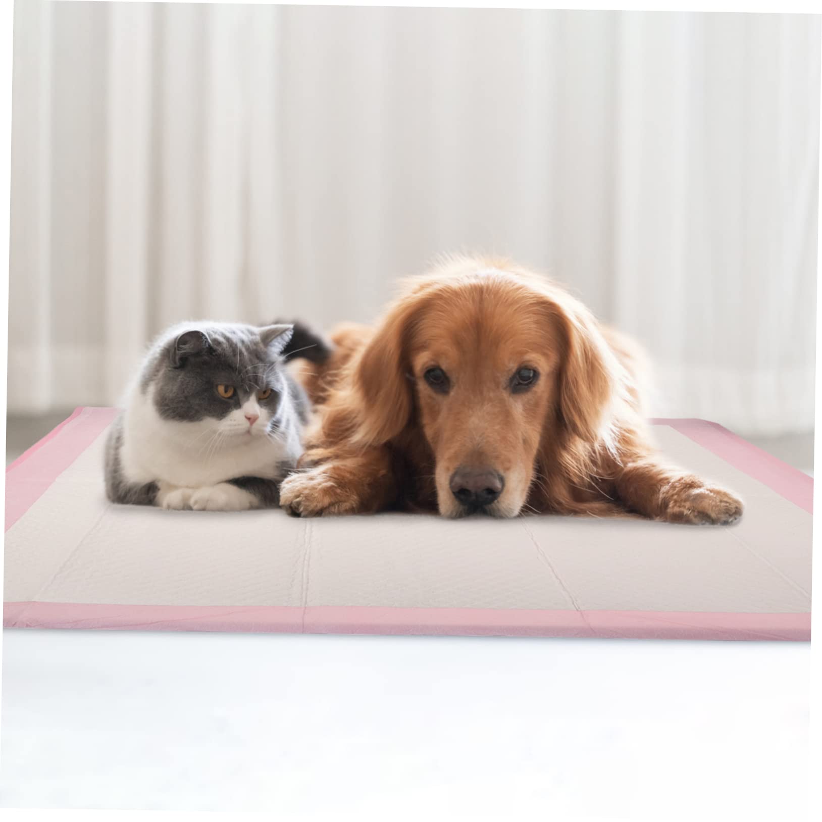 Tappetini Igienici Assorbenti per Cani e Cuccioli Rosa, 1 Sacchetto | Addestramento e Area Riposo, Polimero Importato Polpa di Legno, Film Pe e Carta Igienica