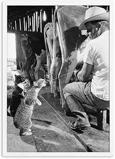 VUSMH Caseificio Contadino Mungitura Tela Quadri Divertente Gatto Poster Nordico Ranch Parete Arte Casa Soggiorno Stanza Corridoio Parete Moderni Quadro 60 x 90 cm x 1 No Cornice
