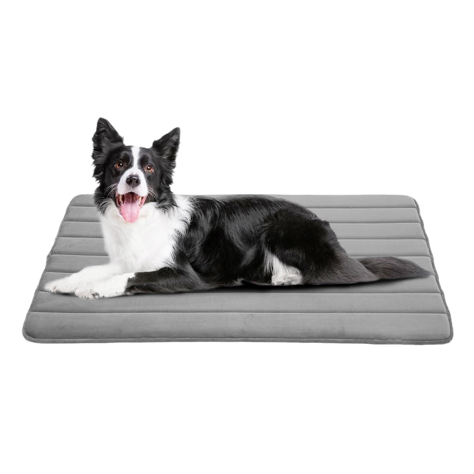 Tapis rafraîchissant anti-mastication pour animal domestique