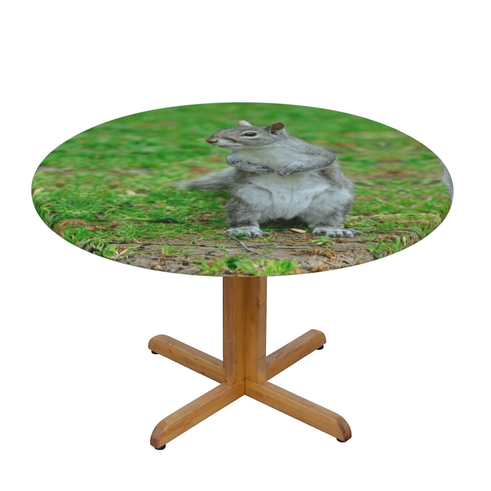 ESNAIUVCD Squirrel print Waterproof Round Tablecloth,Outdoor Table Cloth with Elastic Edged, Elastic Tablecloth Wipeable, Garden Table Cloth Suitable for sizes 90cm-140cm