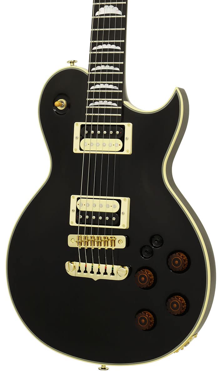 Amazon.co.jp: Aria ProII PE-R80/BK Black エレキギター ハードケース