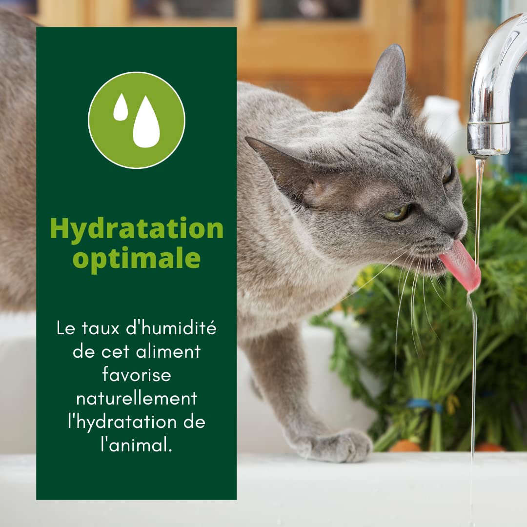 EQUILIBRE & INSTINCT - Chat Stérilisé - Sachet Nourriture Humide Boeuf - Maintien des défenses immunitaires - Recette Complète formulée avec des vétérinaires - 48x85g - Fabriqué en France