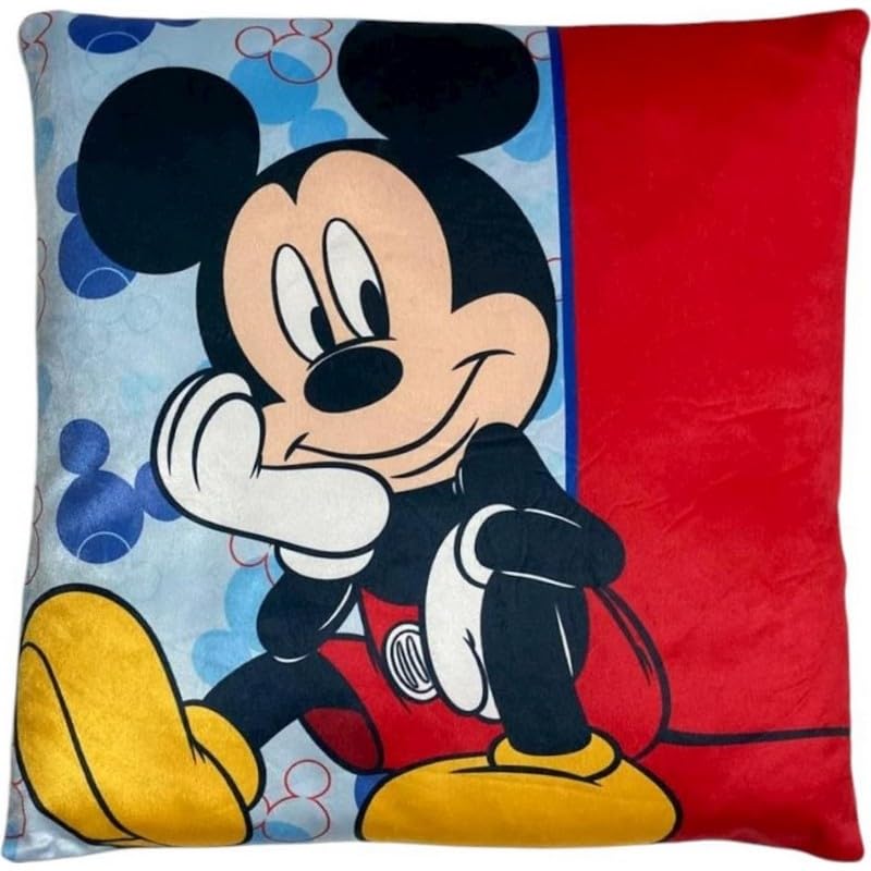anemone Description optimisée Amazon – Coussin Disney 38 x 38 cm – Toucher Velours Doux 100%...
