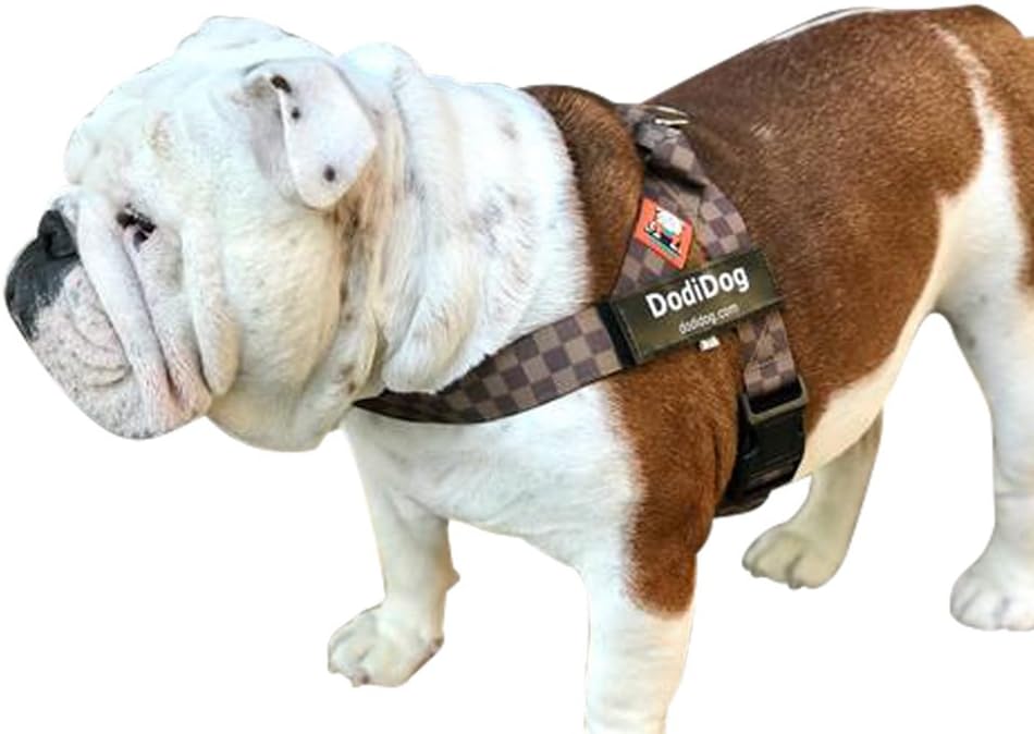 THE ALL NEW LIMITED EDITION! "CHEQUE MATE" Adjustable Belt Harness (Custom patches sold separately) by dodidog.com (X-Large)