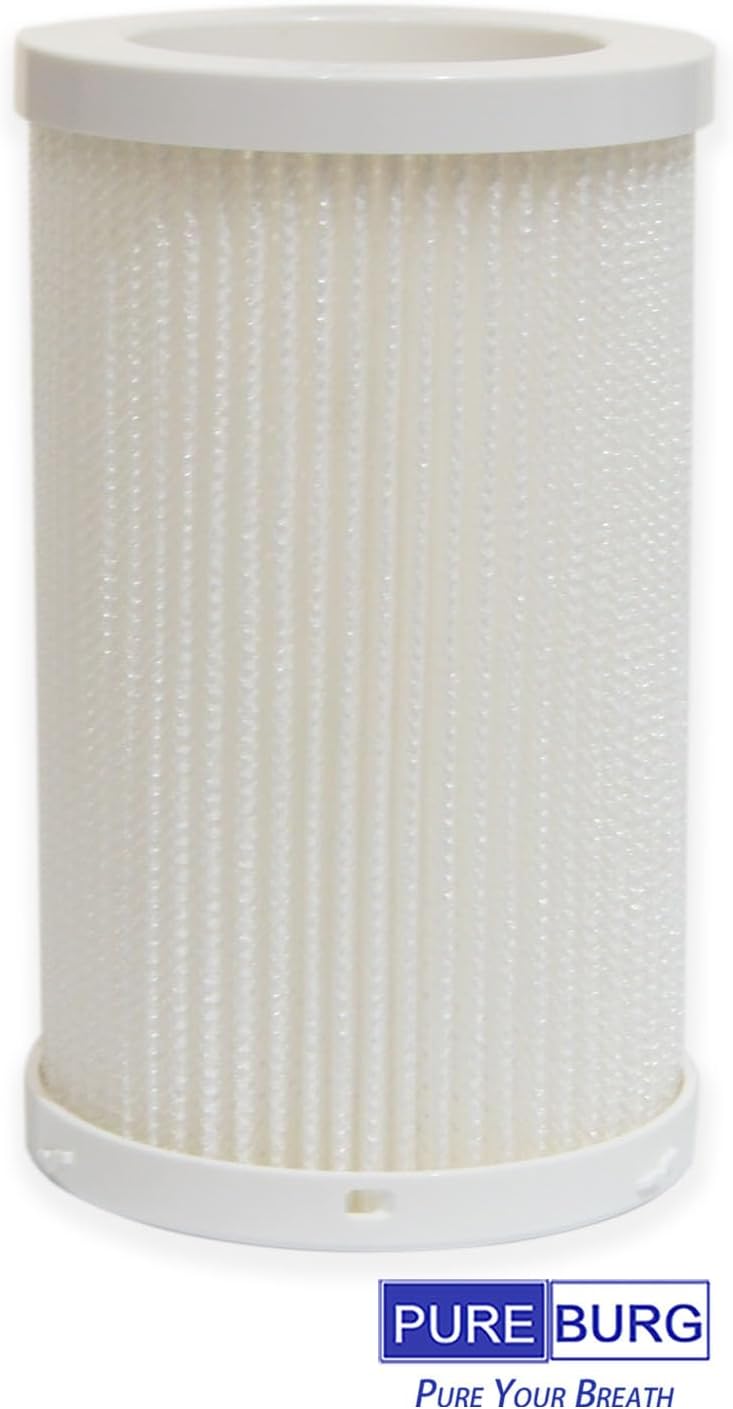 PUREBURG AS04FT-2 Replacement Filters Compatible with DH Lifelabs Aaira + HEPA Air Purifier,2-Pack Evaporation Filter