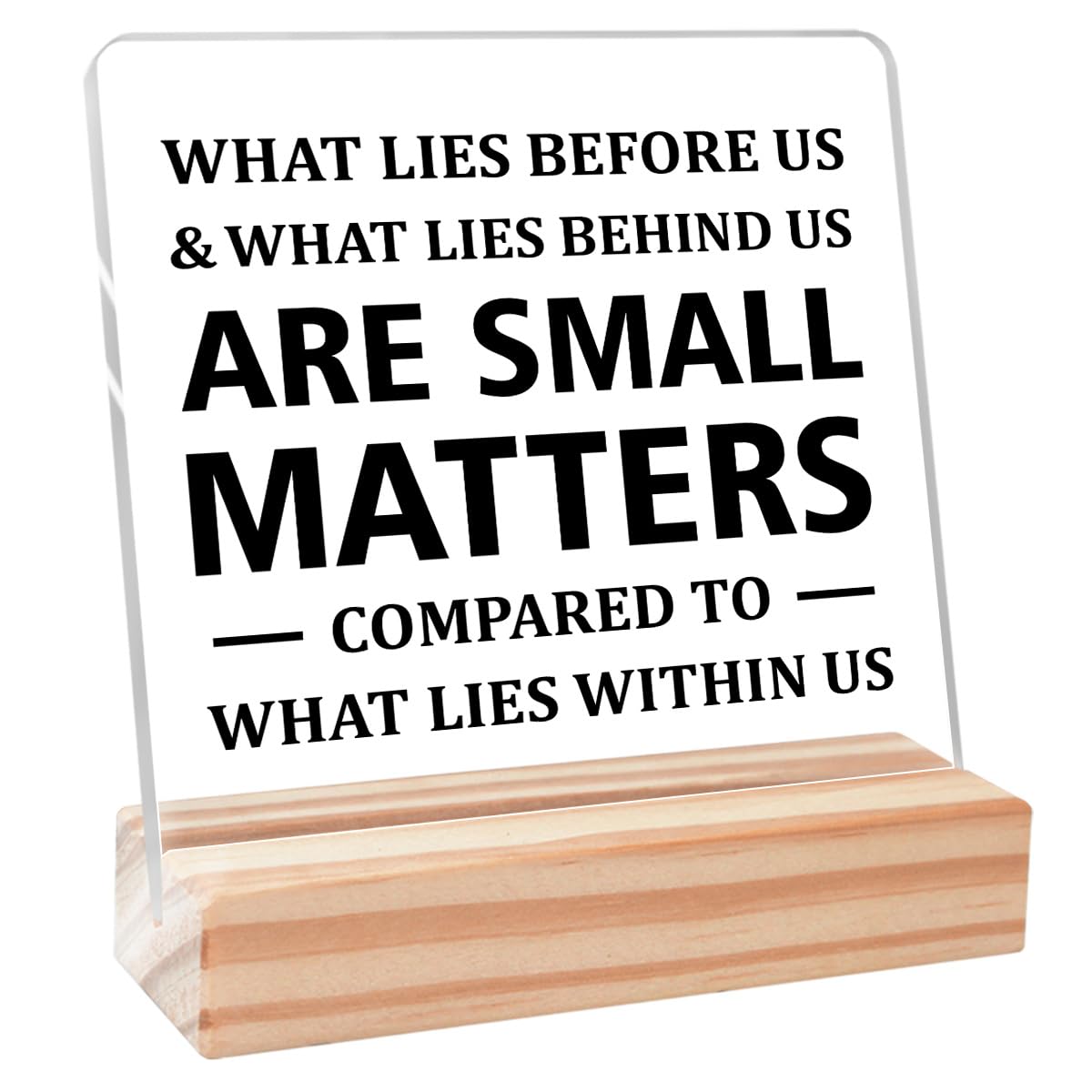 Inspirational Office Desk Decor,Motivational Office Gifts for Women Colleague,Positive Gifts for Coworker,Office Cubicle Decor,Are Small Matters Acrylic Plaque Decor